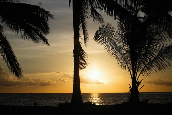 Quels sont les meilleurs spots pour observer les lions de mer aux Galápagos : périodes et lieux?